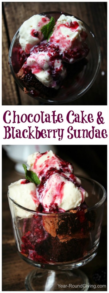 chocolate cake & blackberry sundae