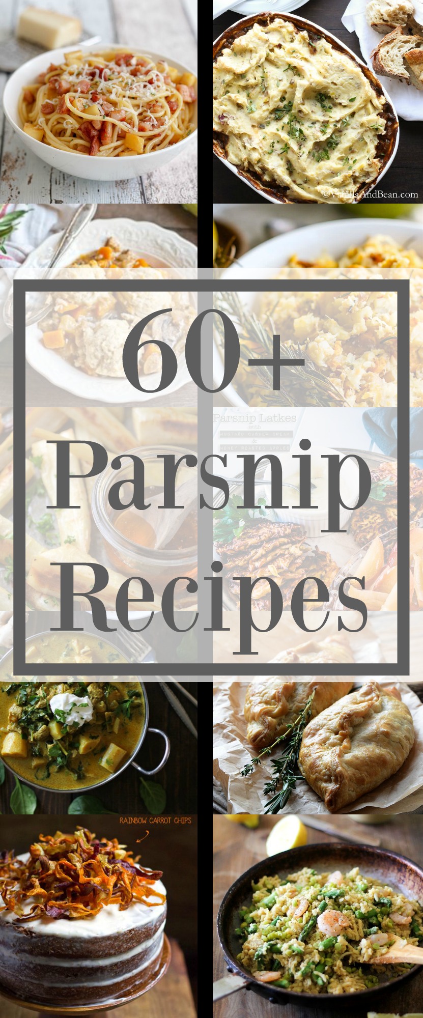 When Parsnips are in season you need only 1 list of recipes and it is this one! Here are 60+ of the Greatest Recipes for Parsnips around the web. 
