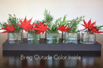 Bring Outside Color Inside 2