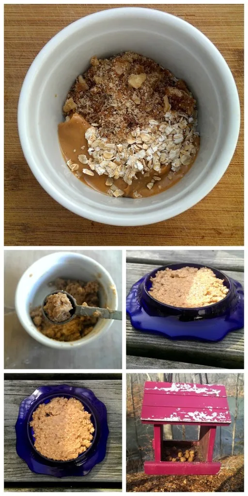 No Bake Cookie Recipe for Squirrels and Birds