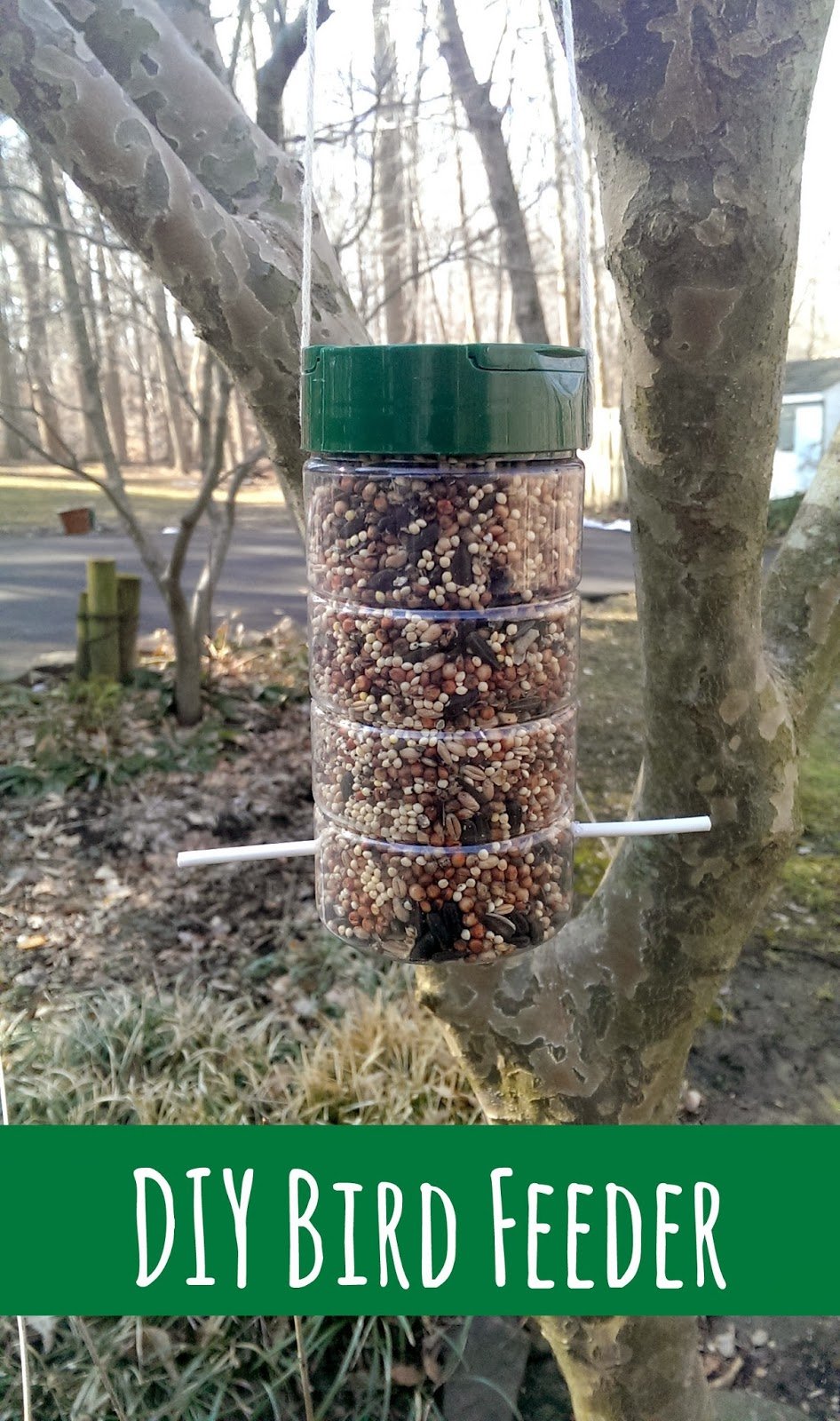 DIY Upcycled Bird Feeder Daily Appetite