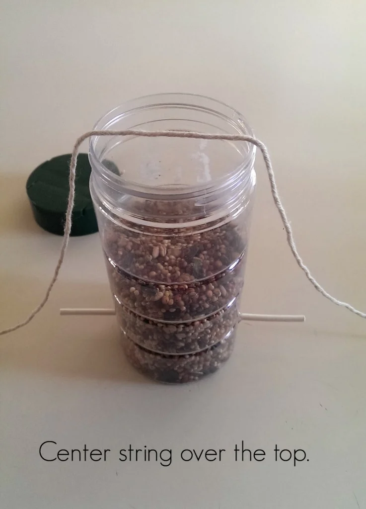 DIY Upcycled Bird Feeder 1