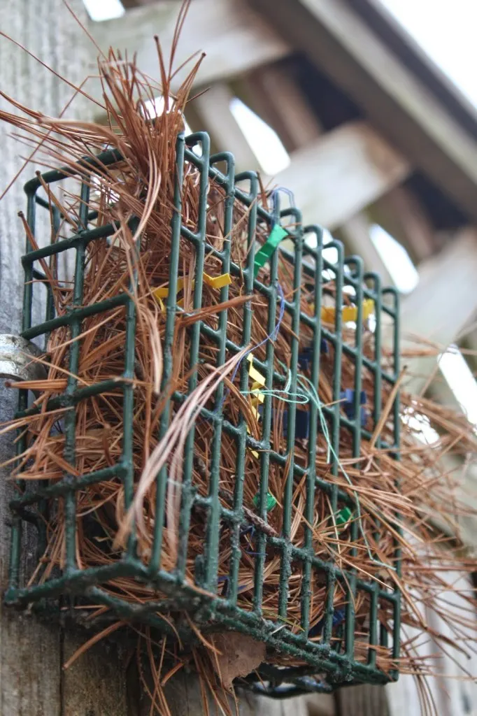 Nesting Material Station for Wild Birds