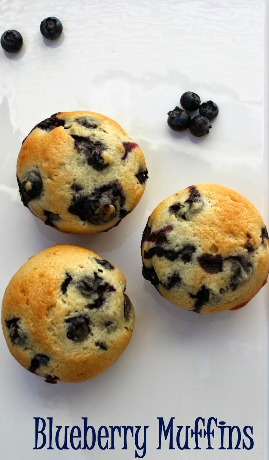 Blueberry Muffins from scratch using freshly picked blueberries. 