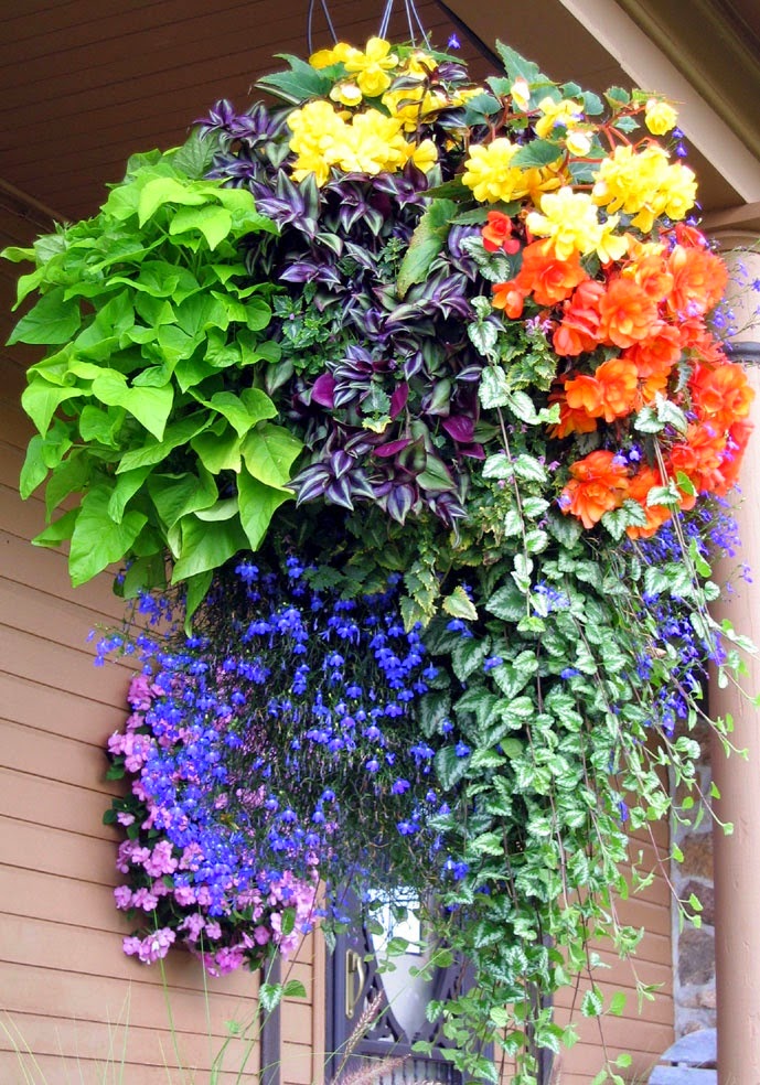 hanging flower baskets