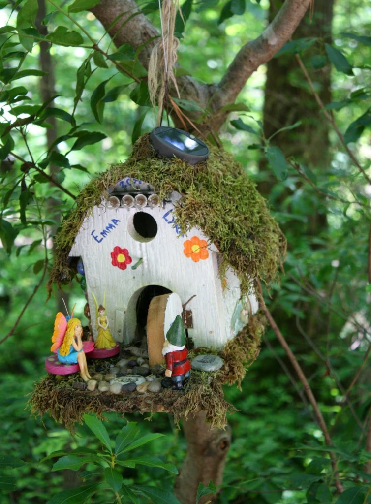 Fairy Gardens - Daily Appetite