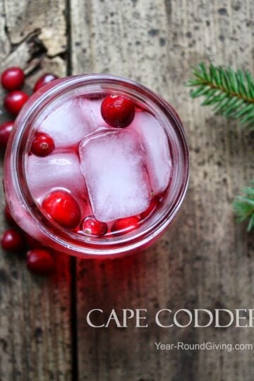 Cape Codder Ale Cocktail 9