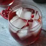 Pomegranate Cocktail - Pomegranate Fizz 1