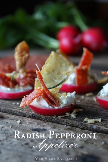 Radish Pepperoni Appetizer 21