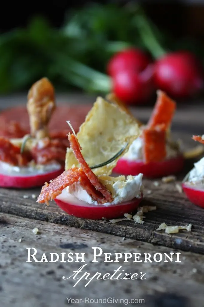 Radish Pepperoni Appetizer