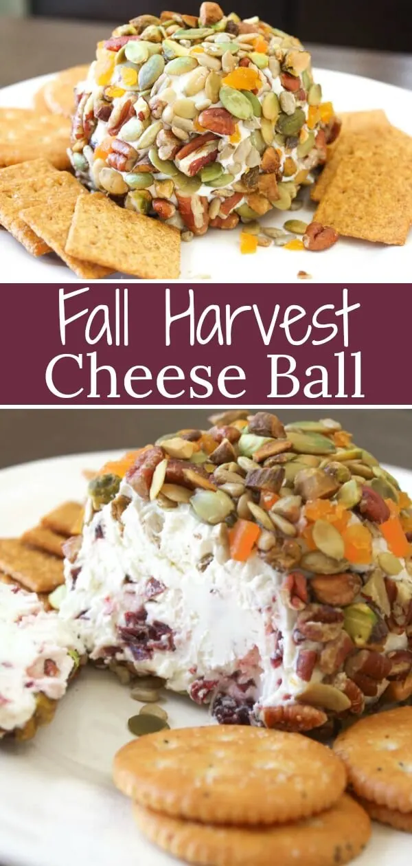 This Fall Harvest Cheese Ball recipe is jeweled with seasonal nuts and seeds. On the inside it bursts with craisins within two creamy cheeses.