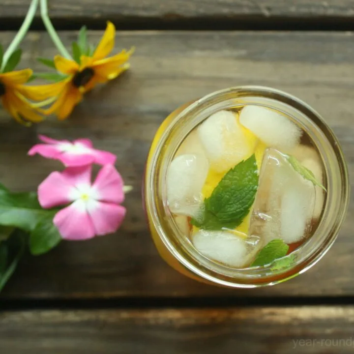 Lemon & Mint Iced Green Tea 1 Lemon & Mint Iced Green Tea