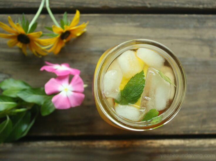 Lemon & Mint Iced Green Tea 1