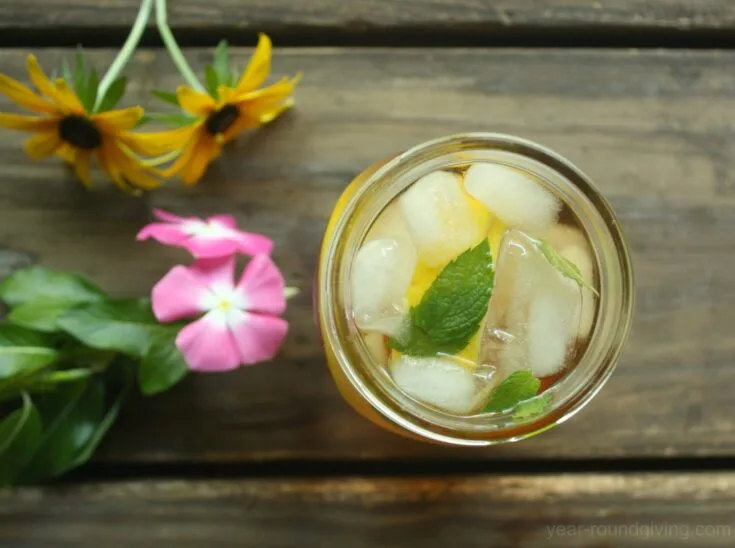 Lemon & Mint Iced Green Tea 1