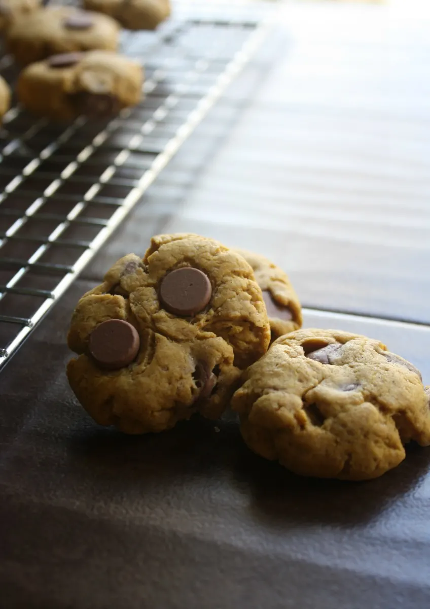 Soft Batch Chocolate Chip Pumpkin Cookies