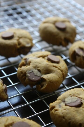 Chocolate Chip Pumpkin Cookies 22