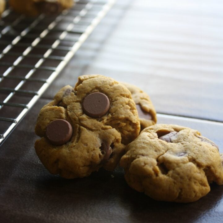 Chocolate Chip Pumpkin Cookies