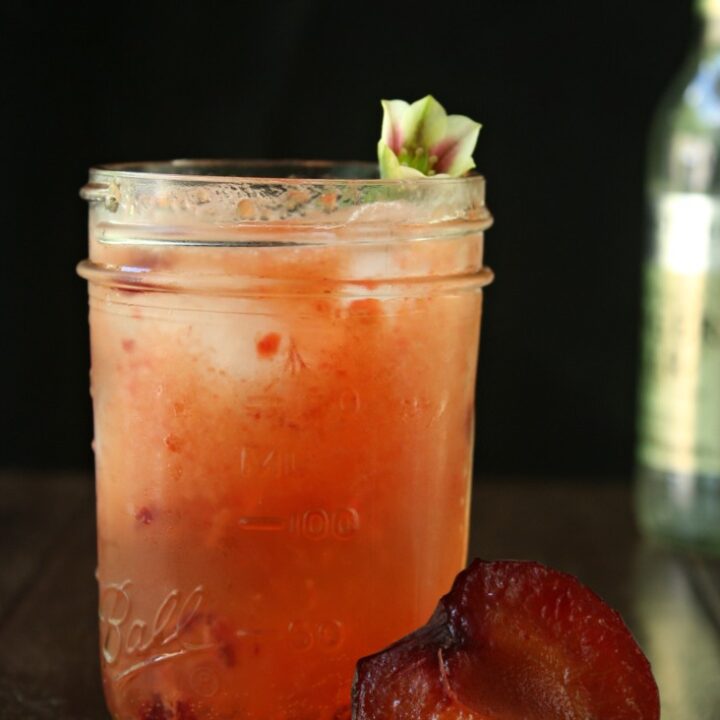 Apricot Bourbon Cocktail