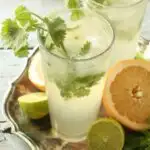 Cilantro Grapefruit Gin and Tonic 1