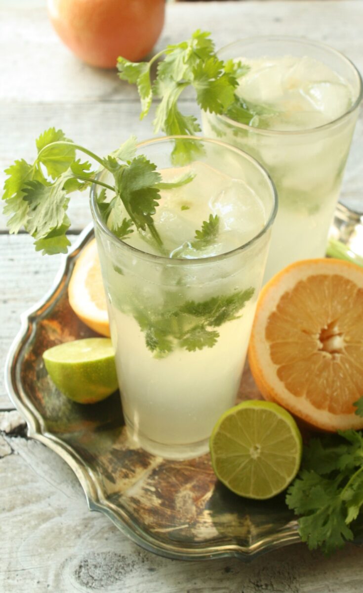 Cilantro Grapefruit Gin and Tonic 1