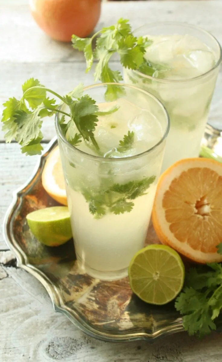 Cilantro Grapefruit Gin and Tonic 1