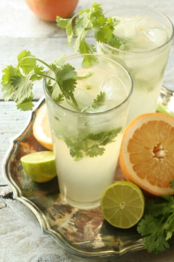 Cilantro Grapefruit Gin and Tonic 20