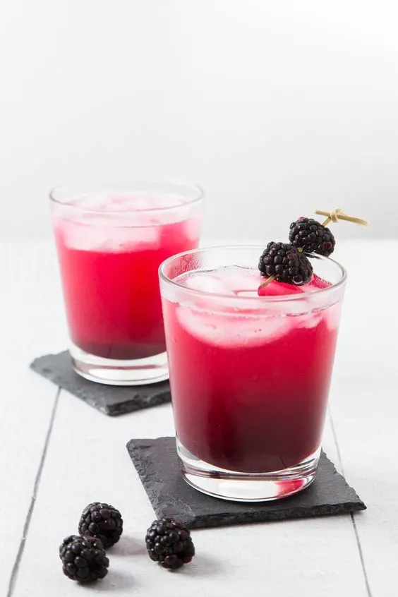 Blackberry Ginger Gin Cocktail plus 40 more Gin Cocktail recipes you must make! 