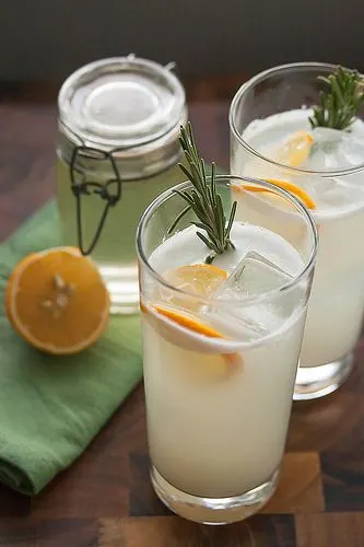 Meyer Lemon Rosemary Gin Fizz cocktail plus 40 more gin cocktail recipes. 