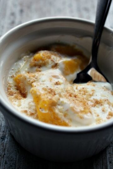 Mango Vanilla Greek Yogurt with Wheat Germ 5