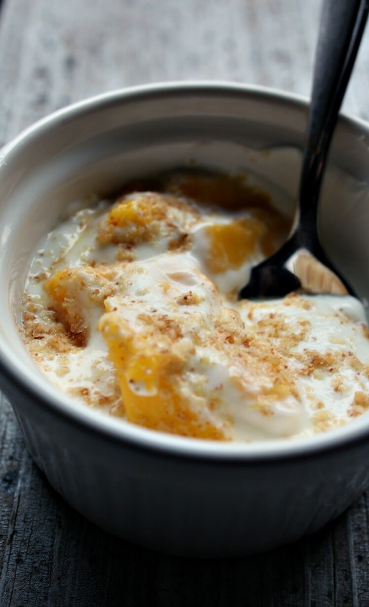 Mango Vanilla Greek Yogurt with Wheat Germ Daily Appetite