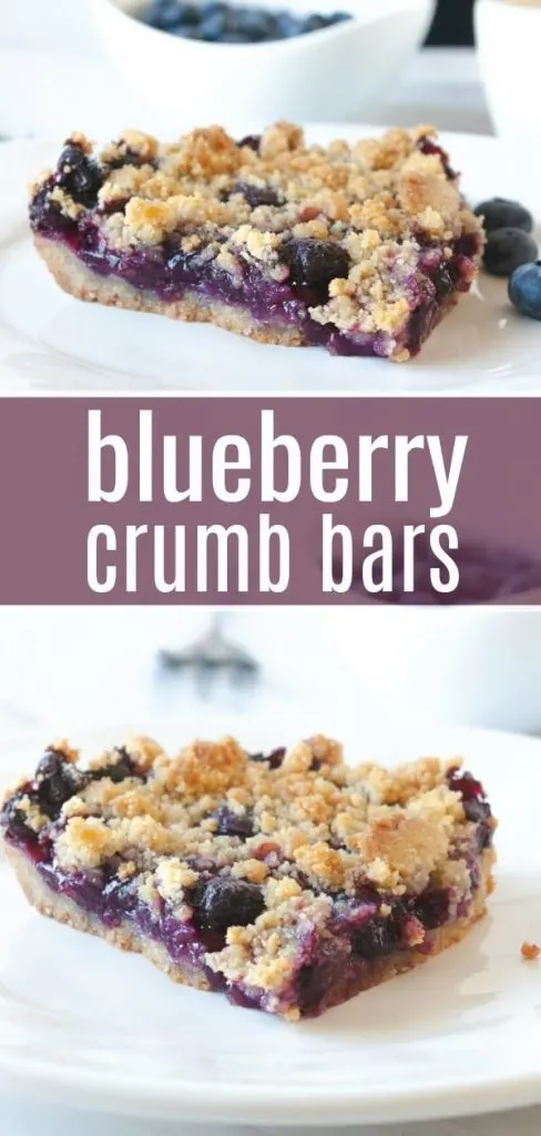 Blueberry crumb bars