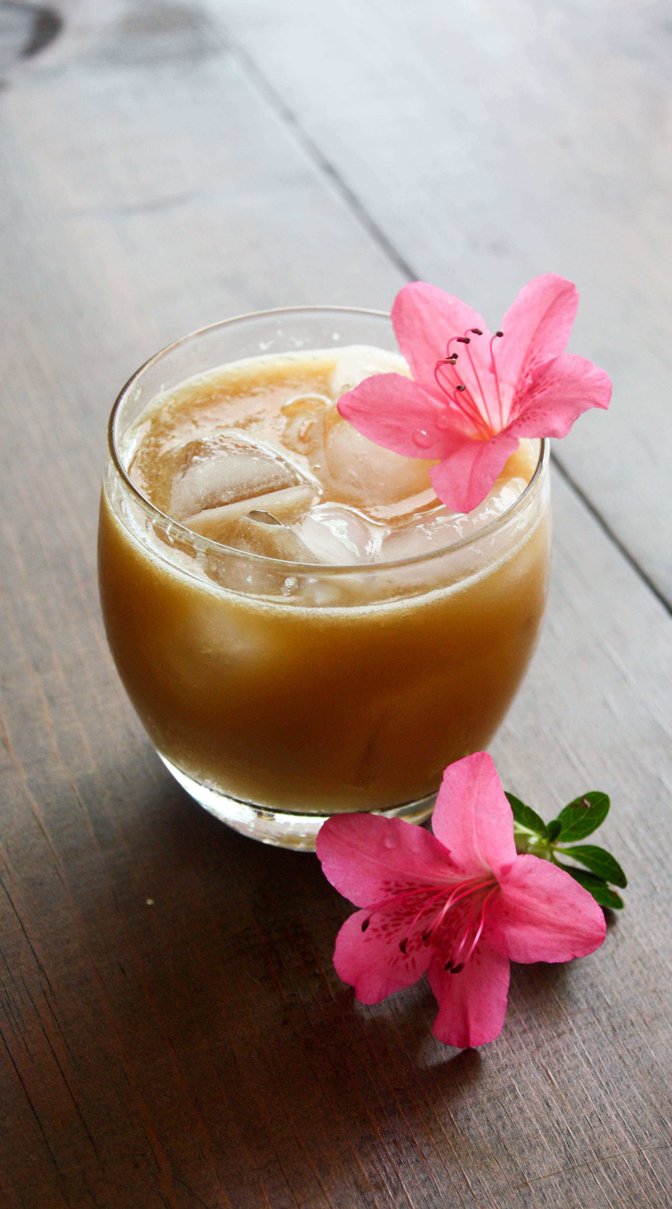 Blue Mountain Cocktail Daily Appetite