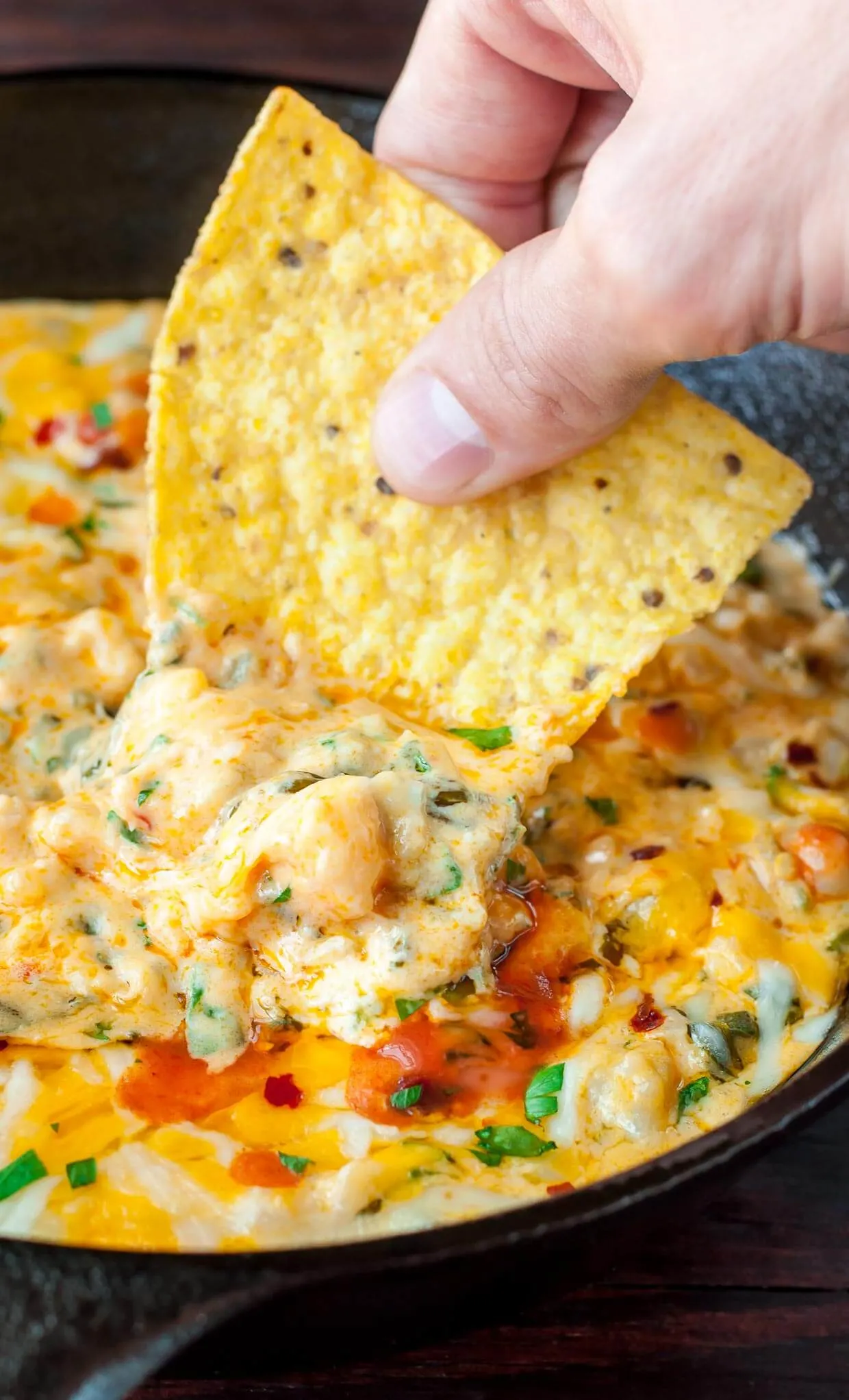 10 Super Cheesy Dips including this Buffalo Shrimp Cheesy Dip