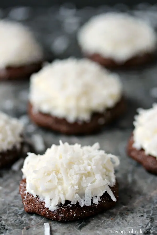 Chocolate Coconut Cookies plus 20 more Chocolate Cookie Recipes