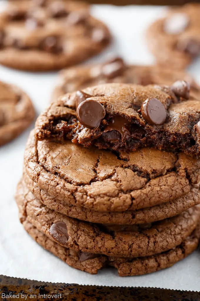 Double Chocolate Nutella Cookies + 20 Recipes for Chocolate Cookies