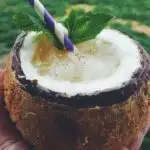 Tropical Coconut Rum Cocktail in a Coconut Shell.