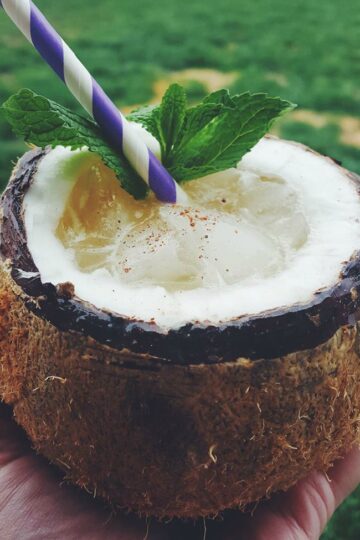 Creamy Coconut Rum Cocktail in Coconut Shell Recipe 15