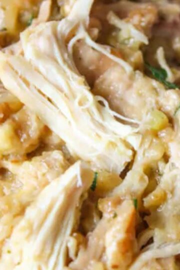 Crockpot Chicken and Stuffing Recipe  3