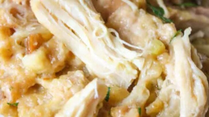 Chicken and stuffing in a crock pot
