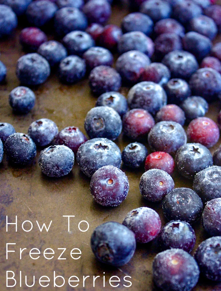 How to Freeze Blueberries