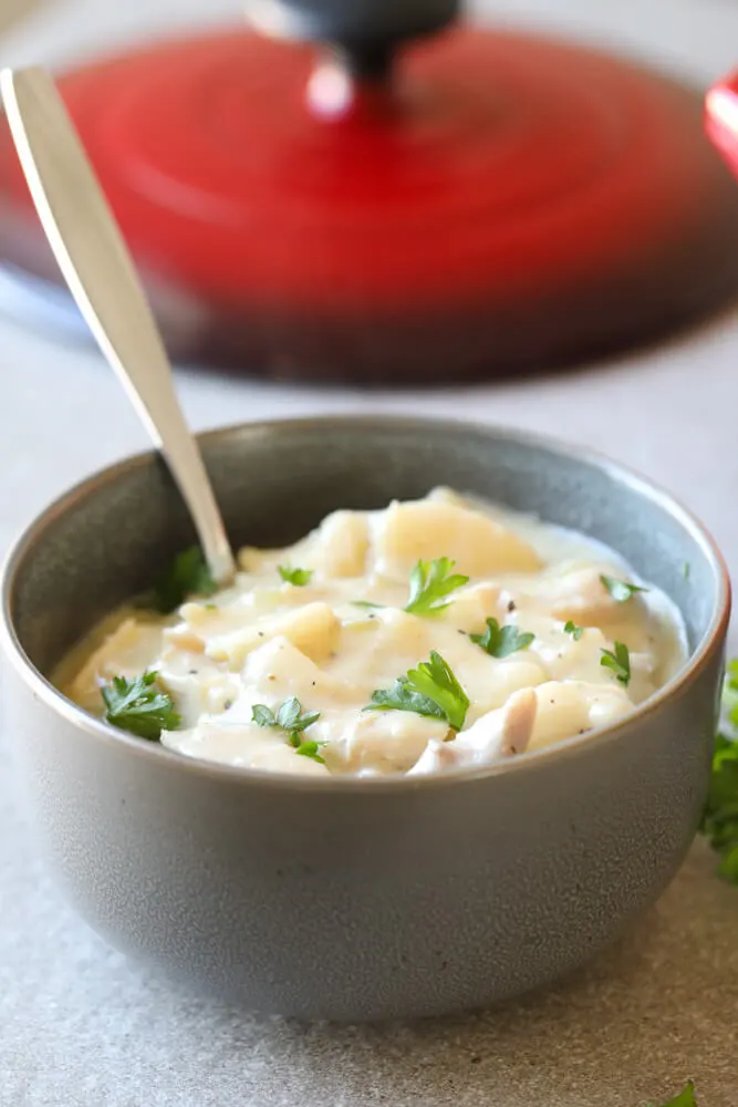 Southern Style Chicken and Dumplings