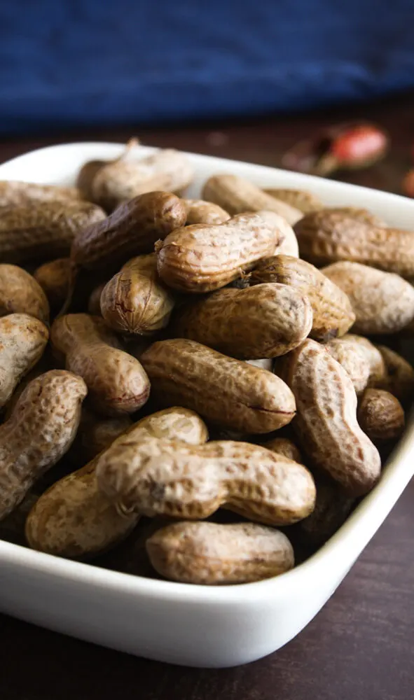 Instant Pot Boiled Peanuts