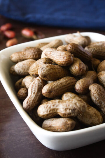 Instant Pot Boiled Peanuts 32