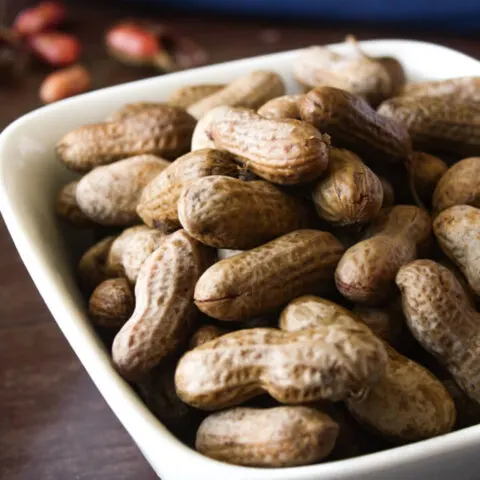 Instant Pot Boiled Peanuts