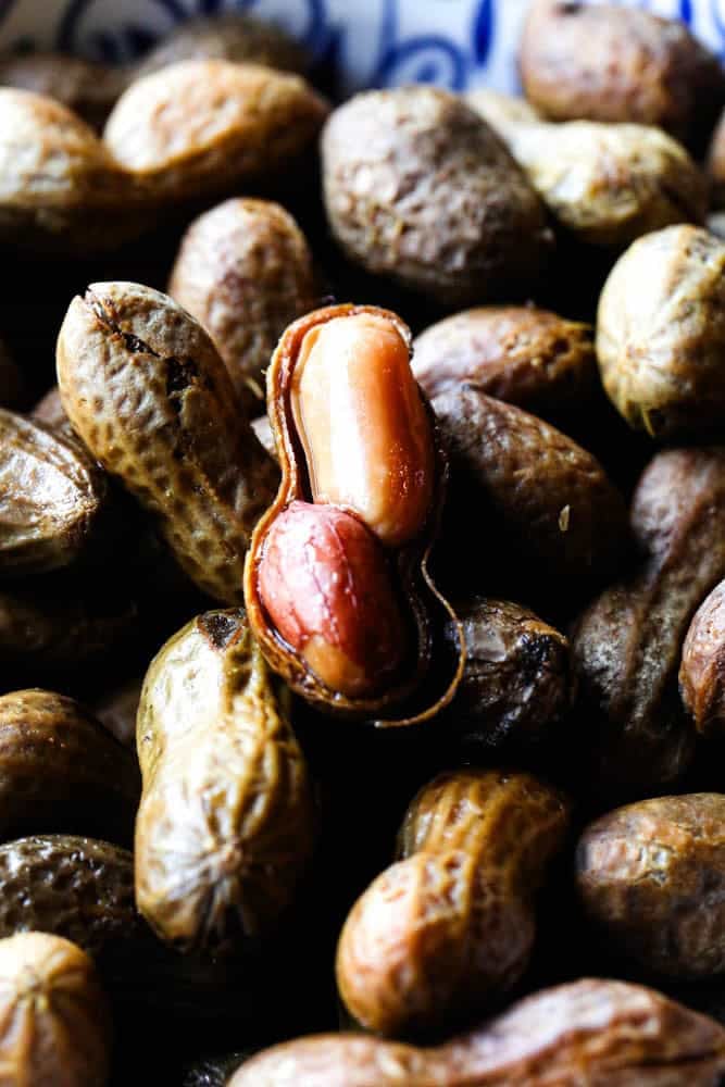 Instant Pot Seasoned Boiled Peanuts