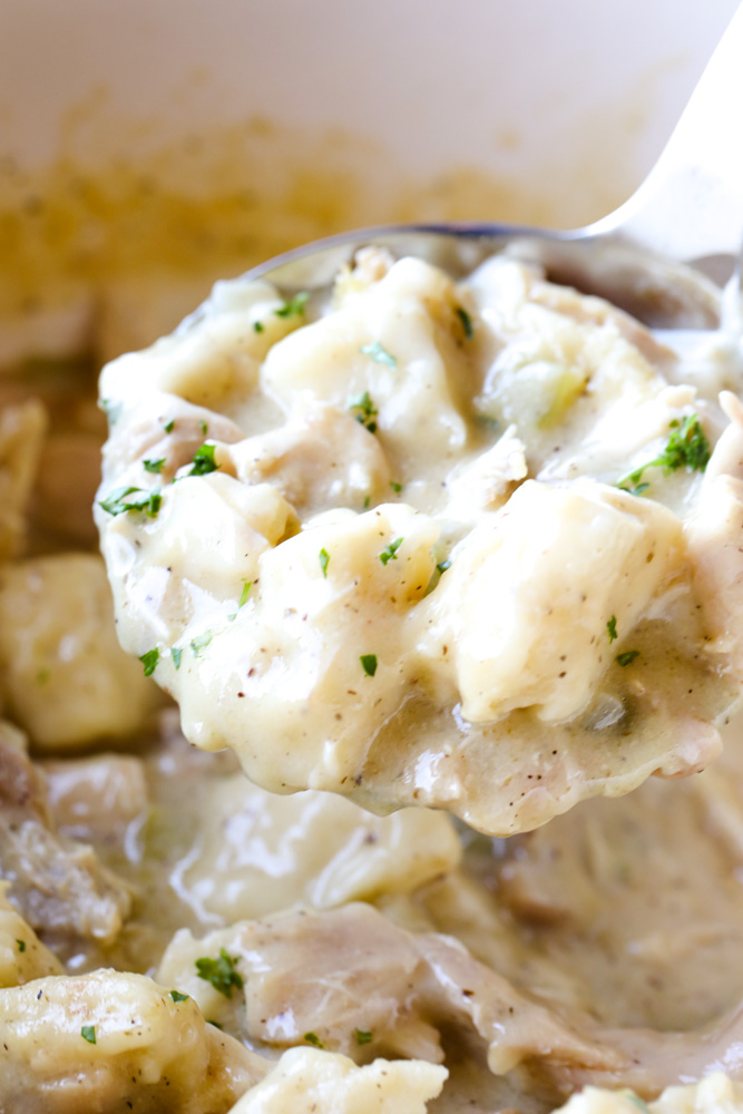 Southern Style Chicken and Dumplings - Written Reality