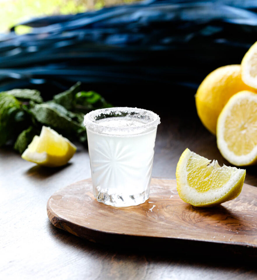 Lemon Drop Shot Daily Appetite