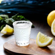The Best Vodka Shot Ideas To Get the Party Started