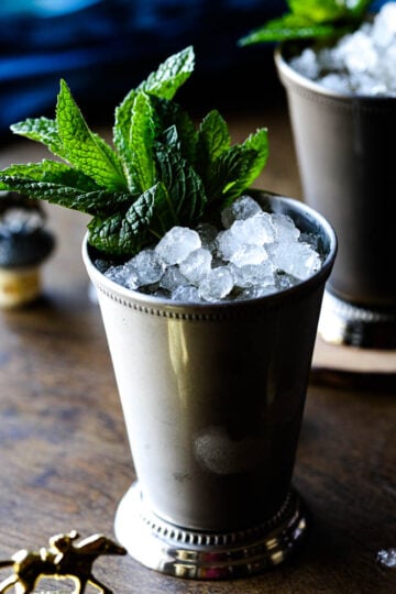 Mint Julep Recipe 42